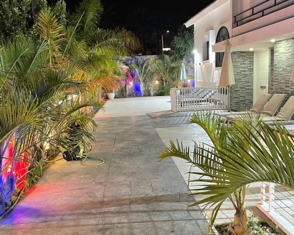 WhatsApp Image 2025-12-08 at 13.45.55 (1)